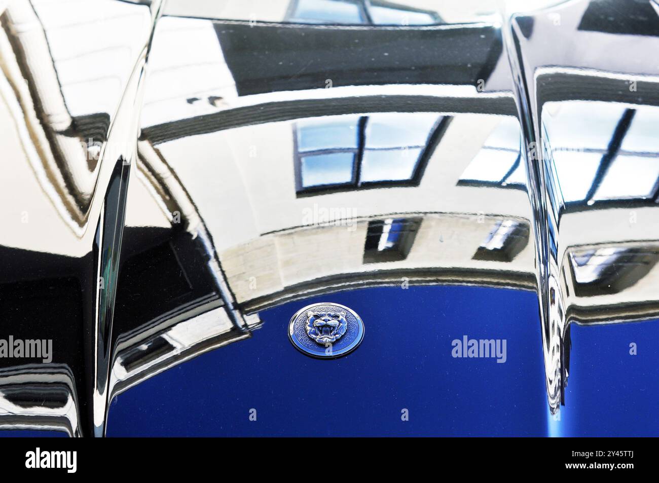 Jaguar Kopfschild Stockfoto