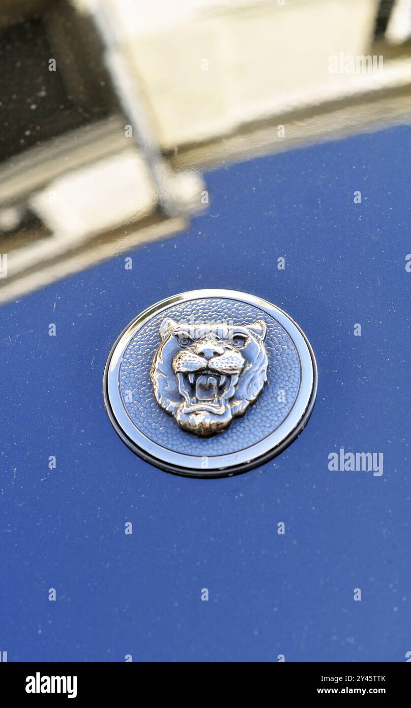 Jaguar Kopfschild Stockfoto