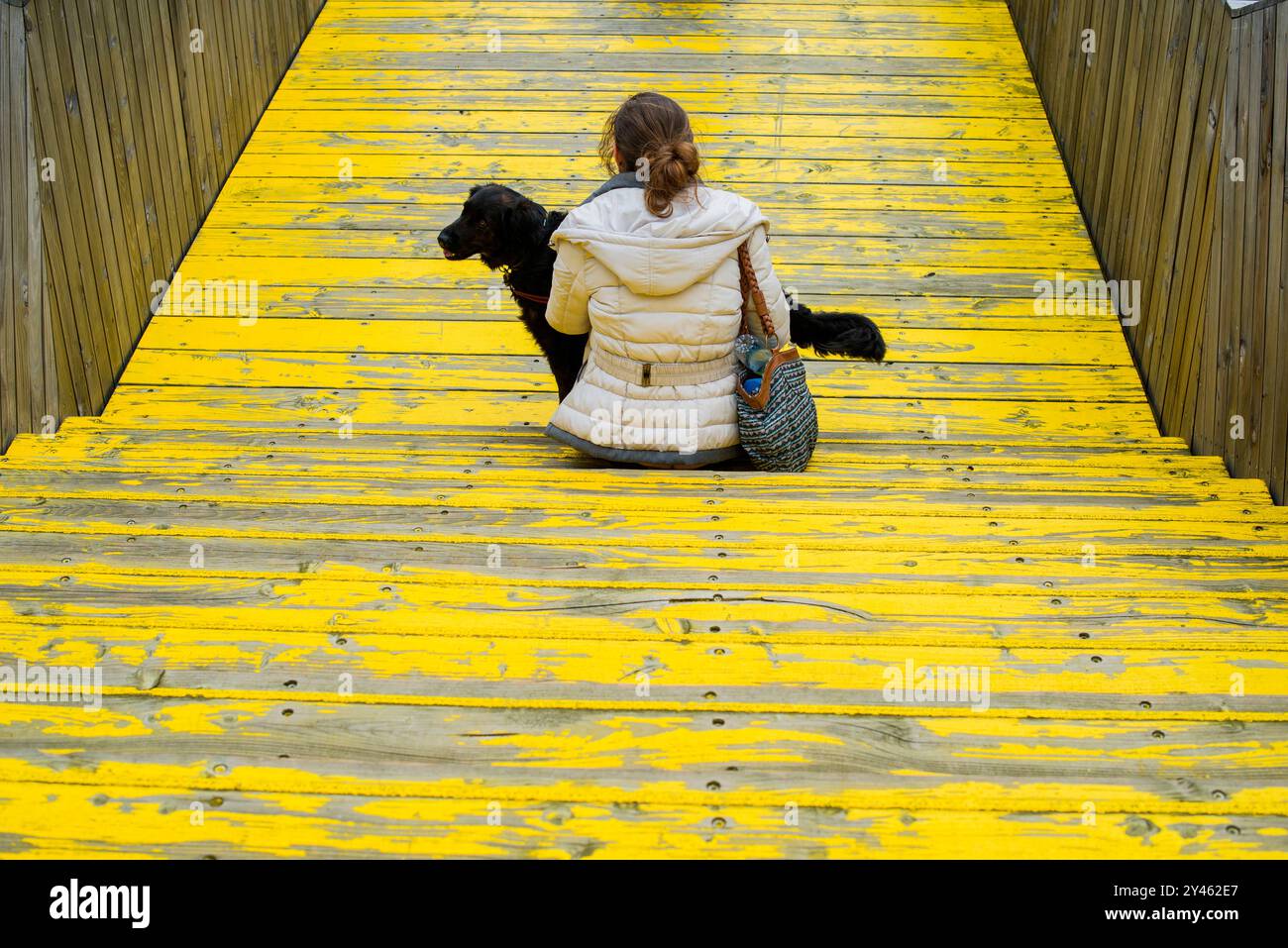 Mädchen, das auf der Treppe sitzt Junges, belgisches Mädchen, das mit ihrem Hund auf einer Treppe auf der Promenade sitzt. Rotterdam, Niederlande. MRYES Rotterdam Luchtsingel Zuid-Holland Nederland Copyright: XGuidoxKoppesxPhotox Stockfoto