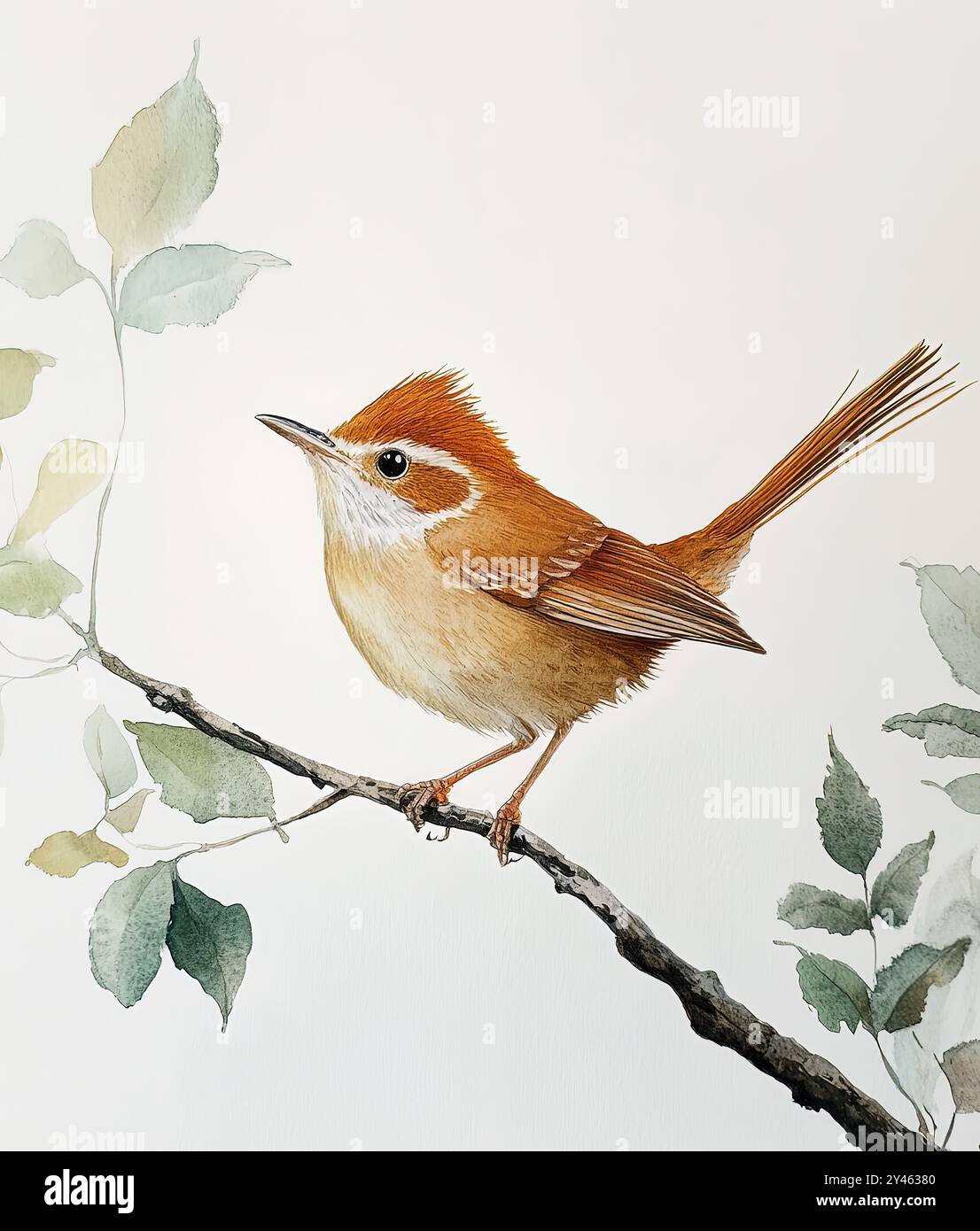 Aquarellmalerei. Ein kleiner hübscher Vogel liegt elegant auf einem Ast mit Laub. Stockfoto