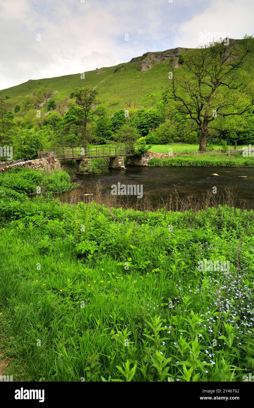 Sommerblick über den Fluss Wye am Monsal Head, Peak District National Park, Derbyshire Dales, England, Großbritannien Stockfoto