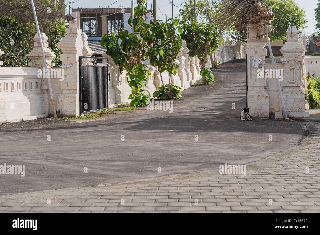 Eine ruhige Straße, gesäumt von traditioneller balinesischer Architektur, mit Steinmauern und üppigem Grün. Ein kleiner Hund sitzt am Straßenrand und fügt hinzu Stockfoto