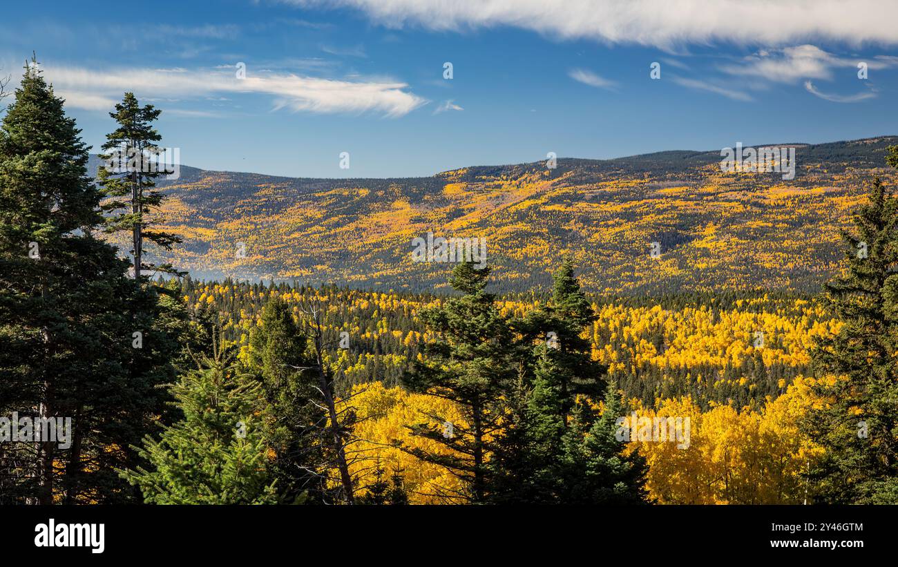 Angel Fire, New Mexico in herbstlicher Pracht Stockfoto