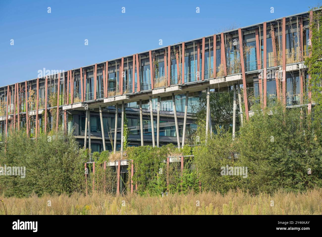 Lise-Meitner-Haus: Institut für Physik der Humboldt-Universität, Newtonstraße, Adlershof, Treptow-Köpenick, Berlin, Deutschland *** Lise-Meitner-Haus-Institut für Physik an der Humboldt-Universität, Newtonstraße, Adlershof, Treptow Köpenick, Berlin, Deutschland Stockfoto