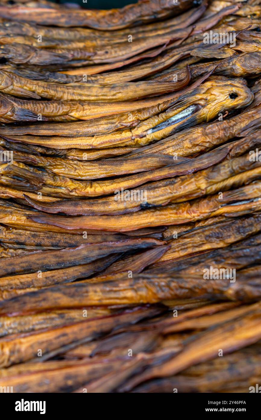 Verschiedene getrocknete Fische sind ordentlich auf der Ausstellung angeordnet und zeigen ihre Textur und Farbe. Stockfoto