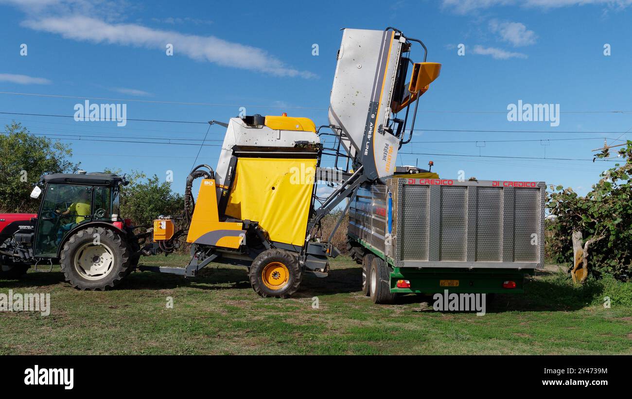 Erntemaschine an einem Traktor auf einem Feld in der Stadt Montefiascone, Region Latium, Italien. September 2024 Stockfoto