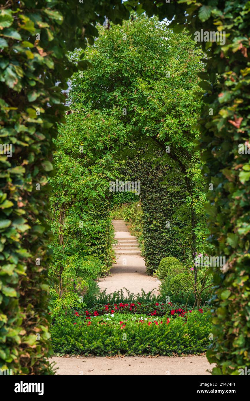 Ein Bogen grüner Pflanzen. Rote Rosen im Vordergrund. Steintreppen. Wunderschöner Stadtpark Stockfoto