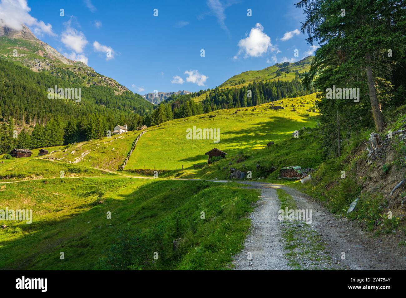 Wanderweg, einsame Hütten, grüne smaragdgrüne Hänge der österreichischen Alpen. Großglocknerstraße. Blühende Almwiesen des Nationalparks hohe Tauern Stockfoto