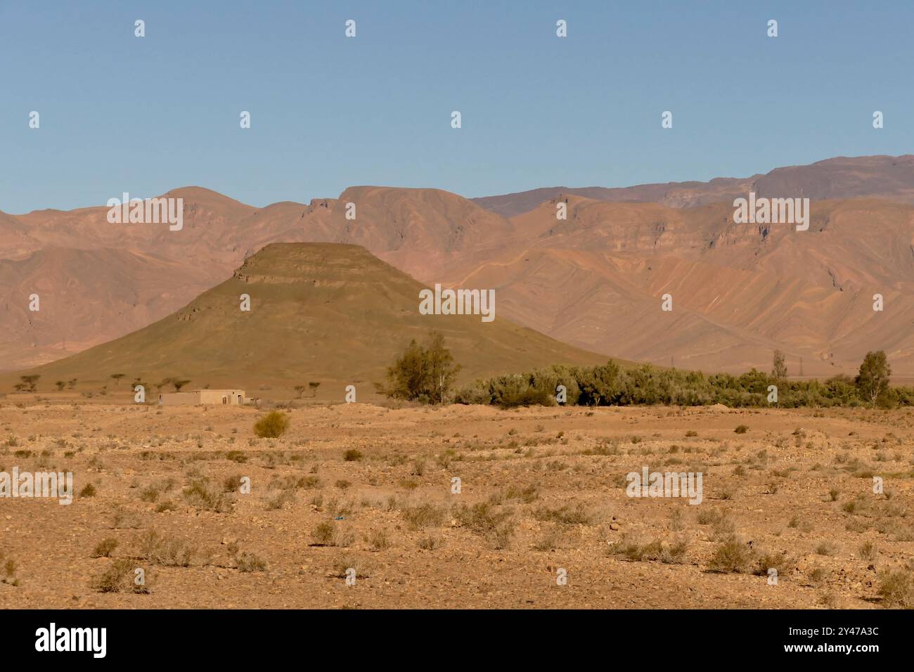 Das Tata-Tal und die Berber Ksars, alte befestigte Dörfer, die heute verlassen wurden, monumentale Festungen, die in der präsaharischen Wüste stehen. Stockfoto