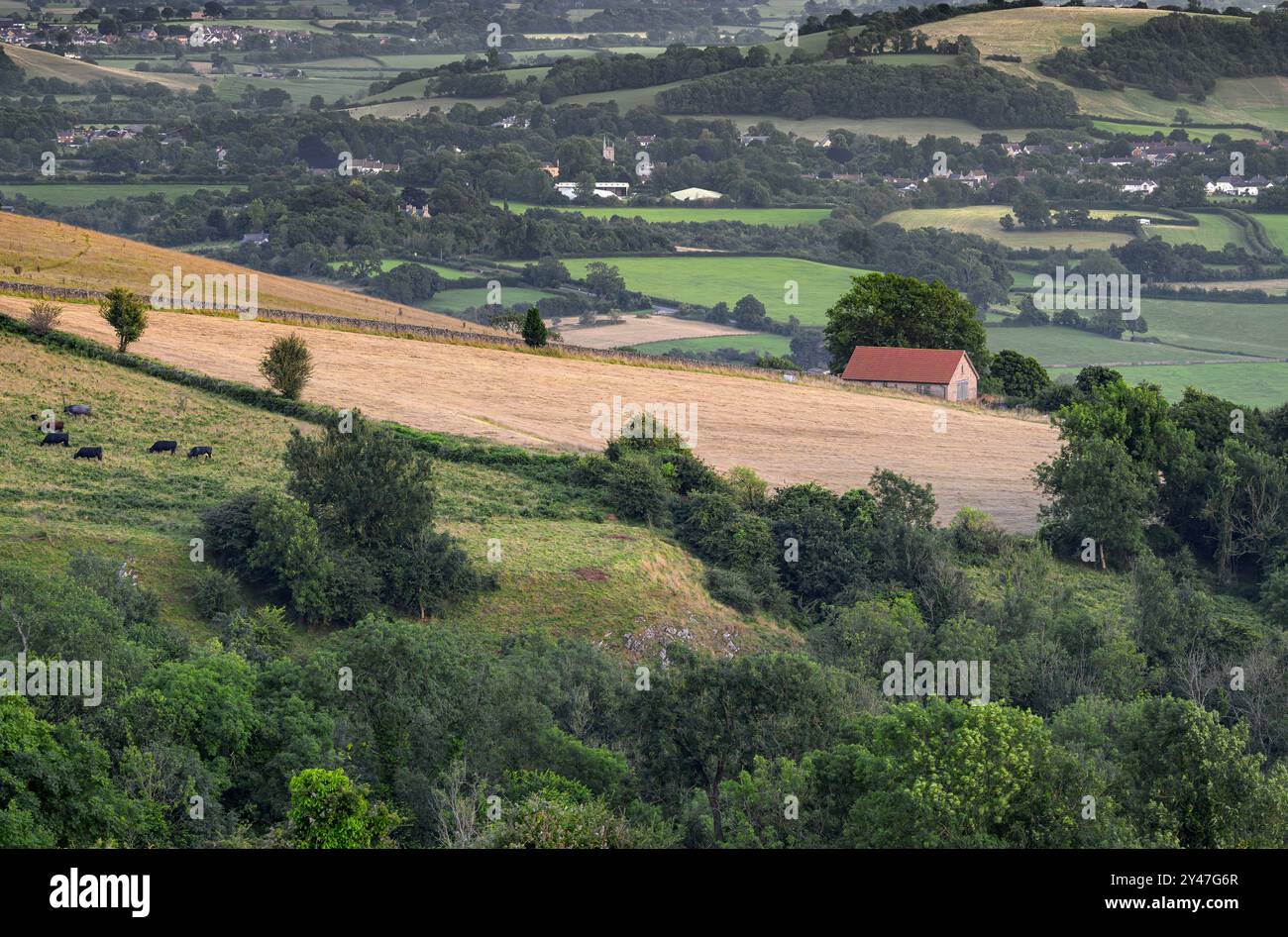 Die Mendips stammen von DeerLeap, dem höchsten Punkt in den Mendips, Somerset, großbritannien in der Abenddämmerung Stockfoto