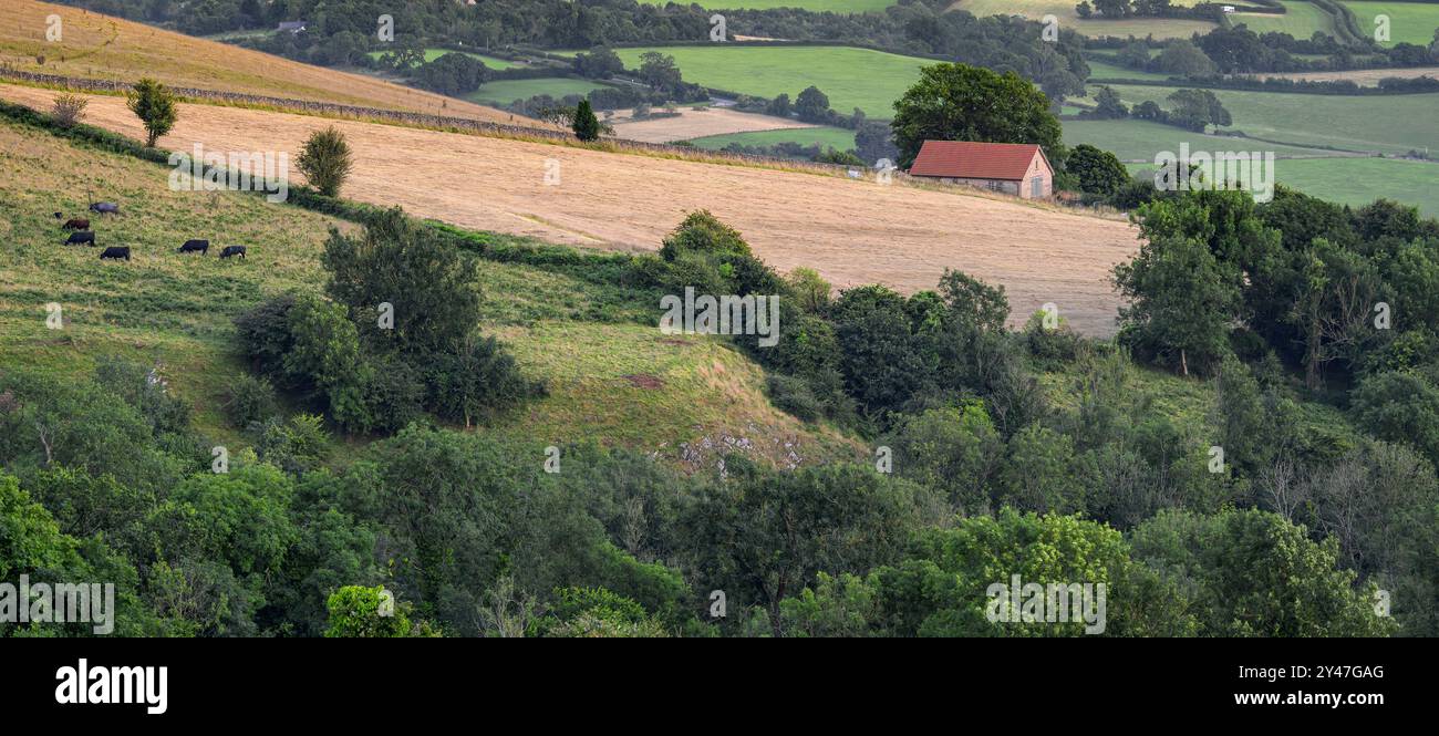 Die Mendips stammen von DeerLeap, dem höchsten Punkt in den Mendips, Somerset, großbritannien in der Abenddämmerung Stockfoto