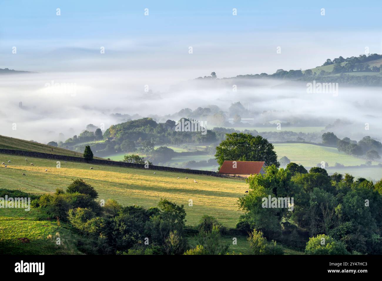 Am frühen Morgen wirbelt Nebel auf den Somerset Levels herum, von den Mendip Hills aus gesehen, Somerset, Großbritannien, mit sonnenbeschienenen Hügeln im Vordergrund Stockfoto