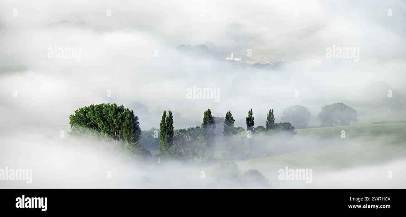 Der Morgennebel wirbelt auf den Somerset Levels, von den Mendip Hills aus gesehen, Somerset, Großbritannien Stockfoto