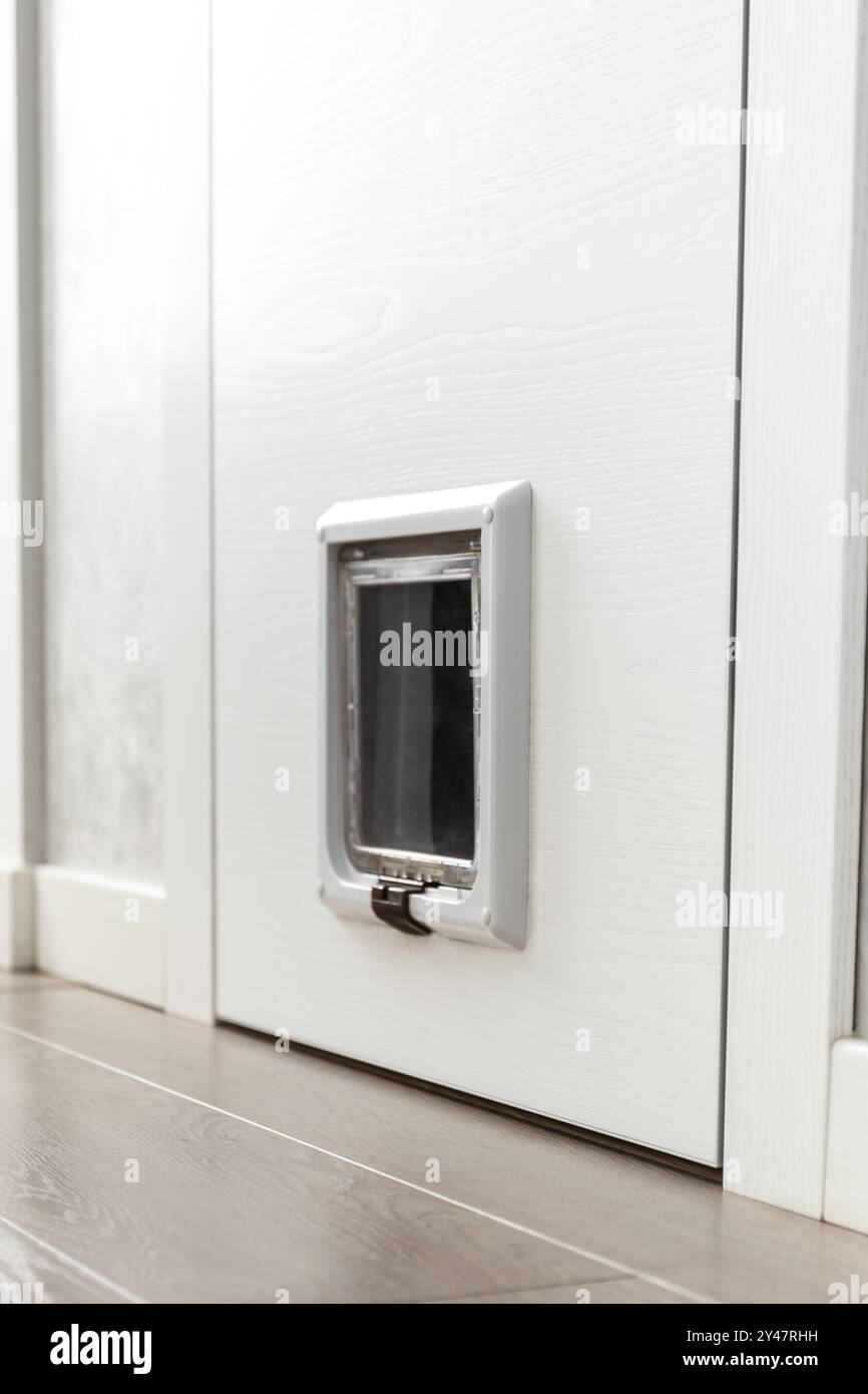 Haustiertür, Katzenluke, eine Klappe ist in die Tür der Wohnung eingebaut, für den Durchgang von Haustieren, Katzen. Stockfoto
