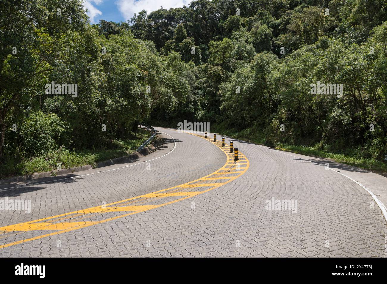 Cunha - Paraty Road. Ehemaliger Golden Path oder Royal Road (Estrada Real). Kurve aus Betonsteinen. Tropische Vegetation der Bocaina Mountains. Stockfoto