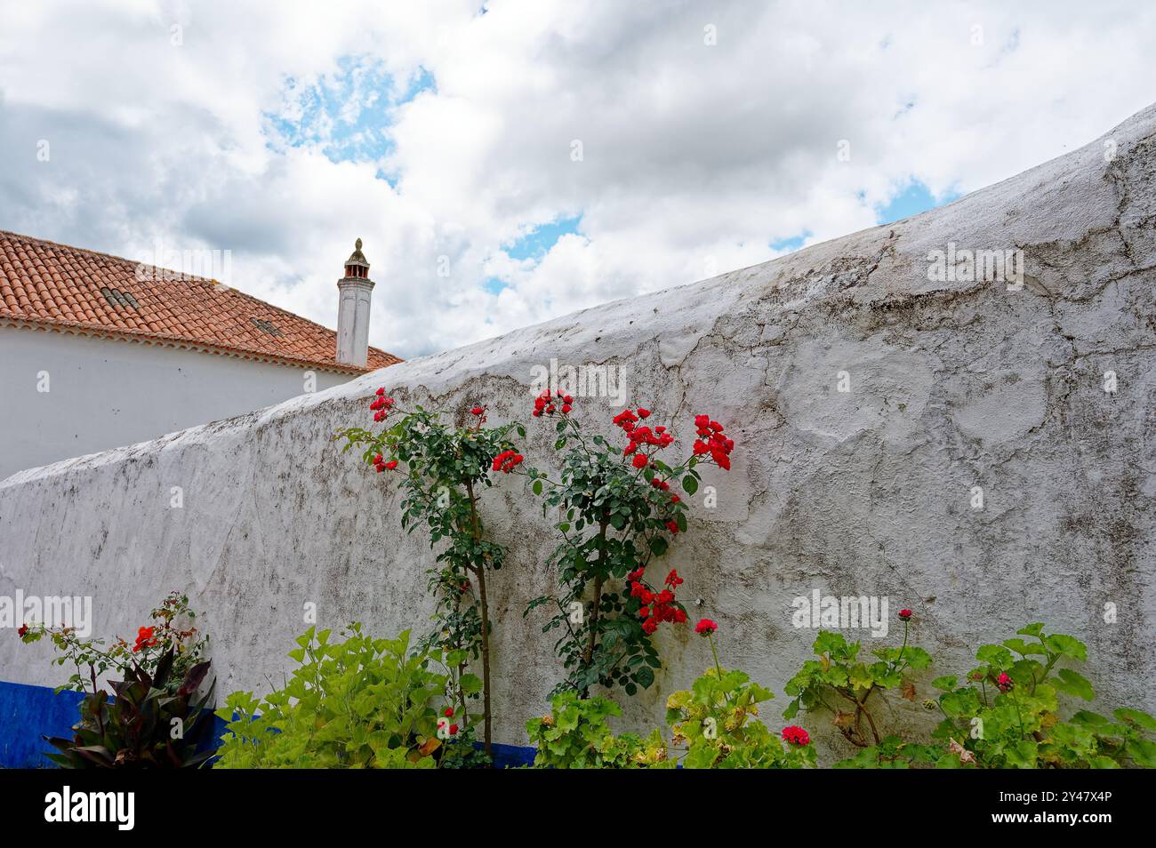Leuchtend rote Blumen blühen vor einer verwitterten weißen Wand unter einem ruhigen Himmel im historischen Stadtzentrum Stockfoto