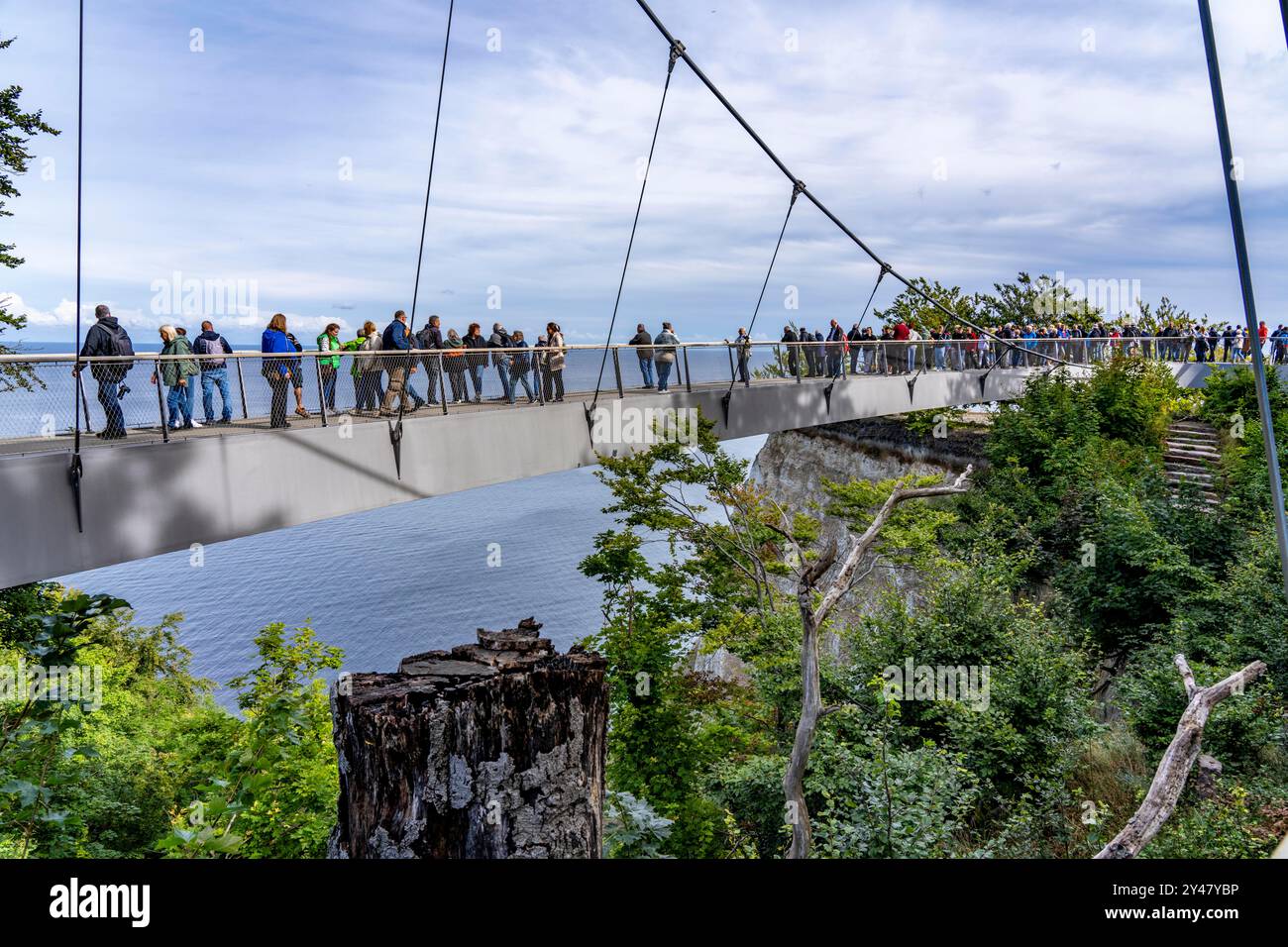Der Skywalk Königsstuhl auf den Kreidefelsen von Rügen ...
