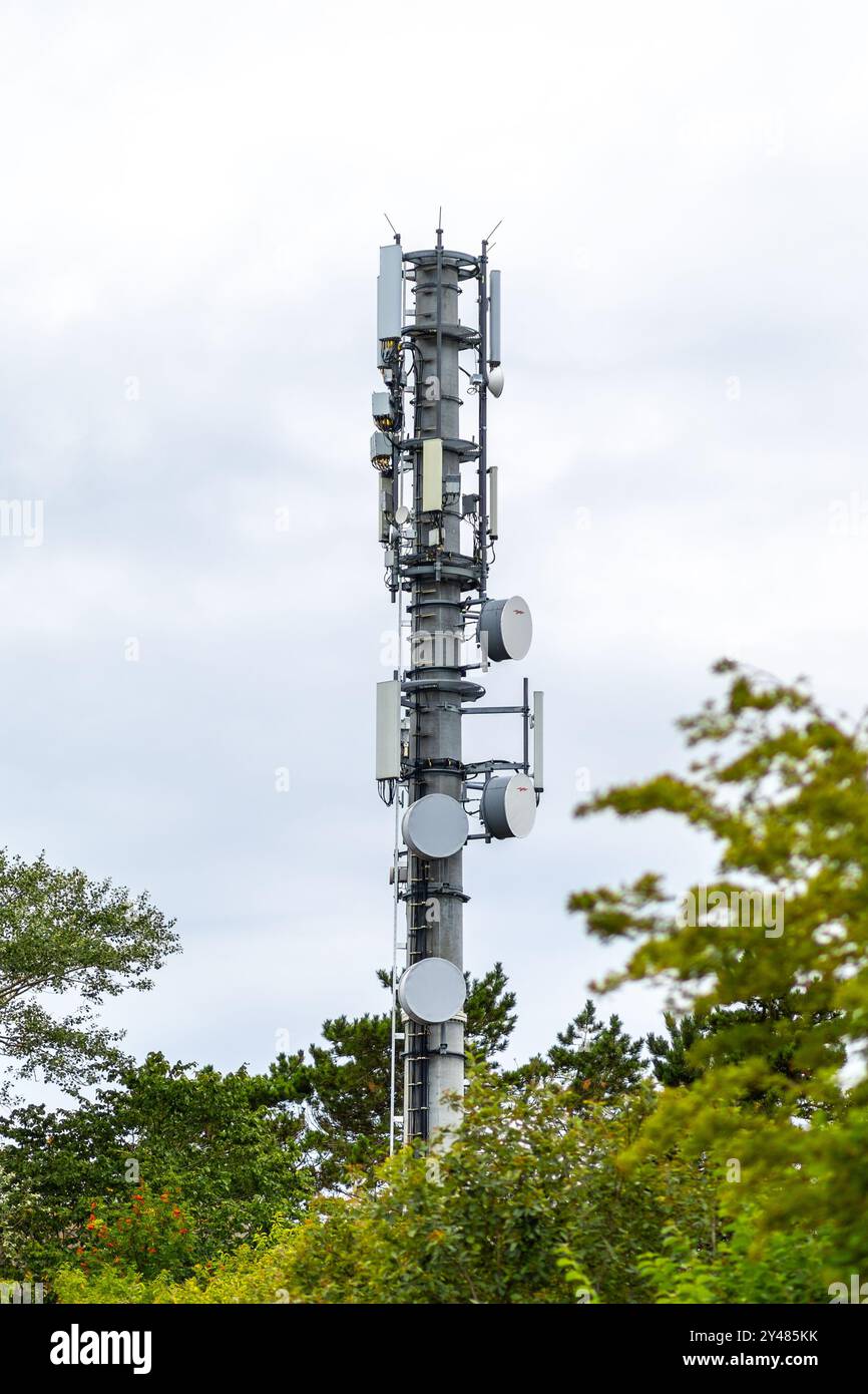 Der hohe Kommunikationsturm steht unter grünem Laub und verfügt über zahlreiche Antennen für die Signalübertragung, alle unter grauem Himmel. Stockfoto