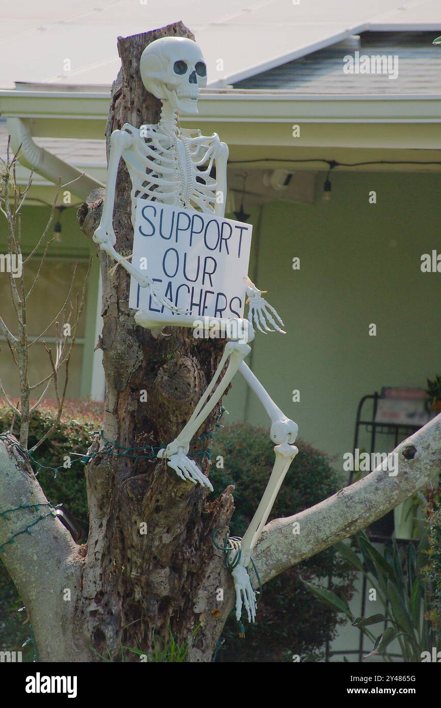 Vertikale Ansicht eines Skeletts, das in einem Baum sitzt, mit einem Schild Unterstützung für unseren Lehrer. Mitten im Baum mit grünen Blättern, Hausdach und hellem Himmel. Nein Stockfoto