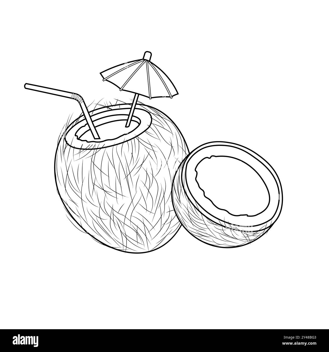 Kokos. Handgezeichnete Kokosnuss-Illustration. Vektor-Kritzelei-Illustration. Kokosnuss-Illustration. Ganze und Stücke Kokosnüsse. Bio-Lebensmittelzutat. Stock Vektor