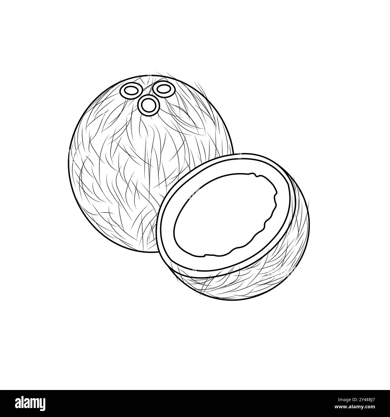 Kokos. Handgezeichnete Kokosnuss-Illustration. Vektor-Kritzelei-Illustration. Kokosnuss-Illustration. Ganze und Stücke Kokosnüsse. Bio-Lebensmittelzutat. Stock Vektor