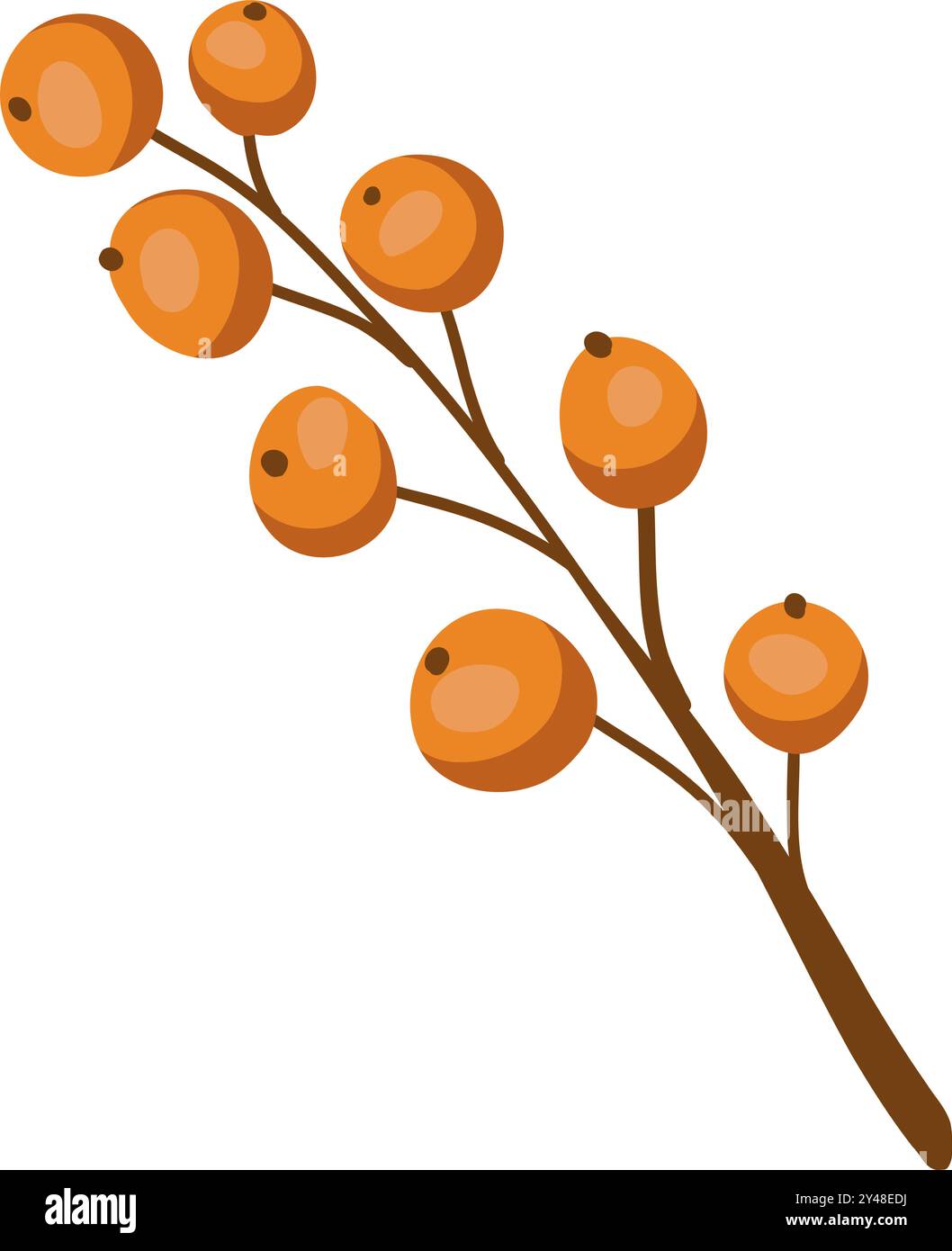 Branche mit Orangenbeeren und Blättern verschiedener Formen. Set von Vektorillustrationen für das Erntefest für Poster, Banner, Karten Stock Vektor