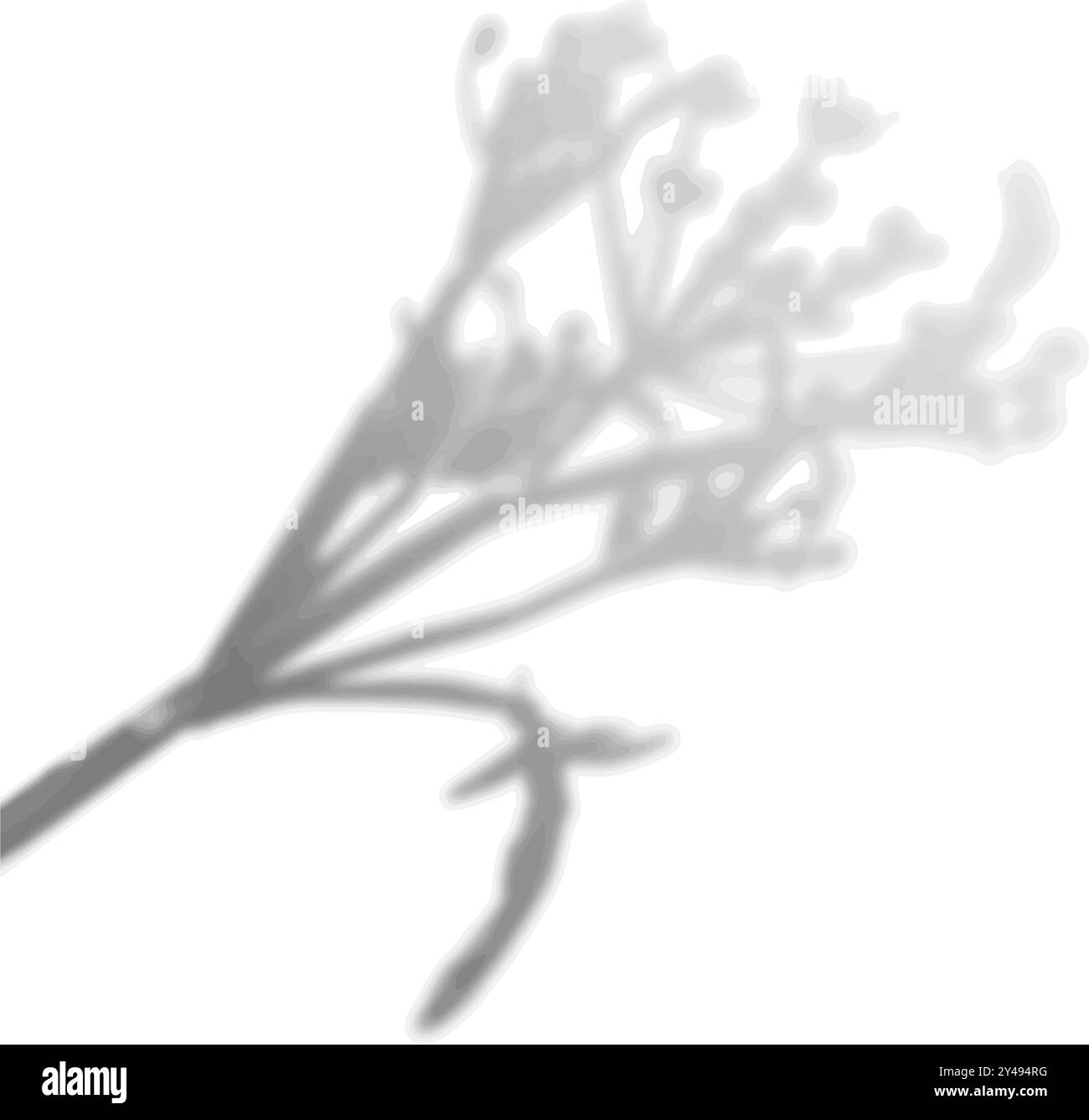 Der Schatten tropischer Blätter auf der weißen Wand. Feldblumen Schwarzweiß-Bild zum Überlagern von Fotos oder Layout. Stock Vektor