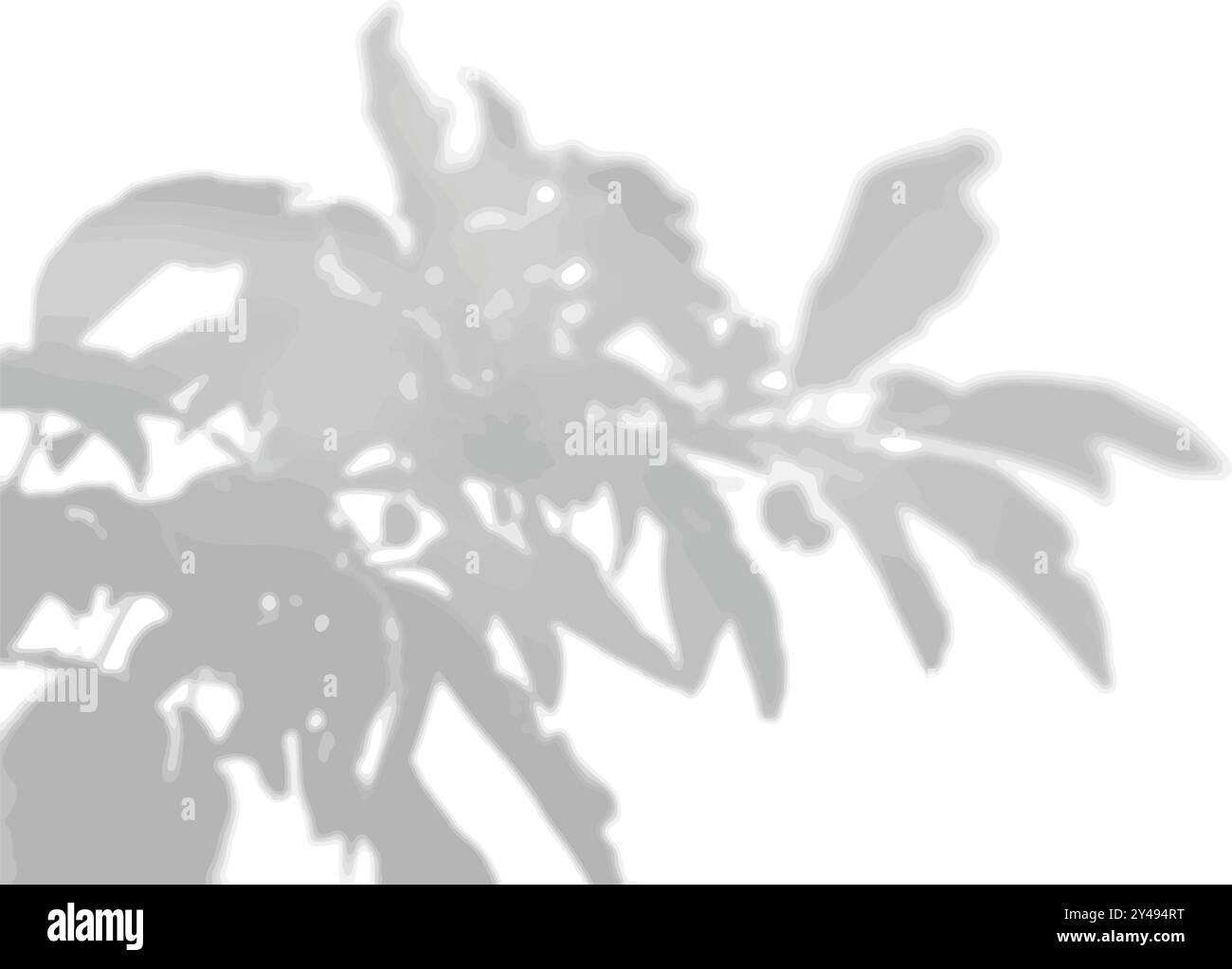 Der Schatten tropischer Blätter auf der weißen Wand. Die Blätter der Pfingstrose. Schwarzweißbild zum Überlagern von Fotos oder Layouts. Stock Vektor