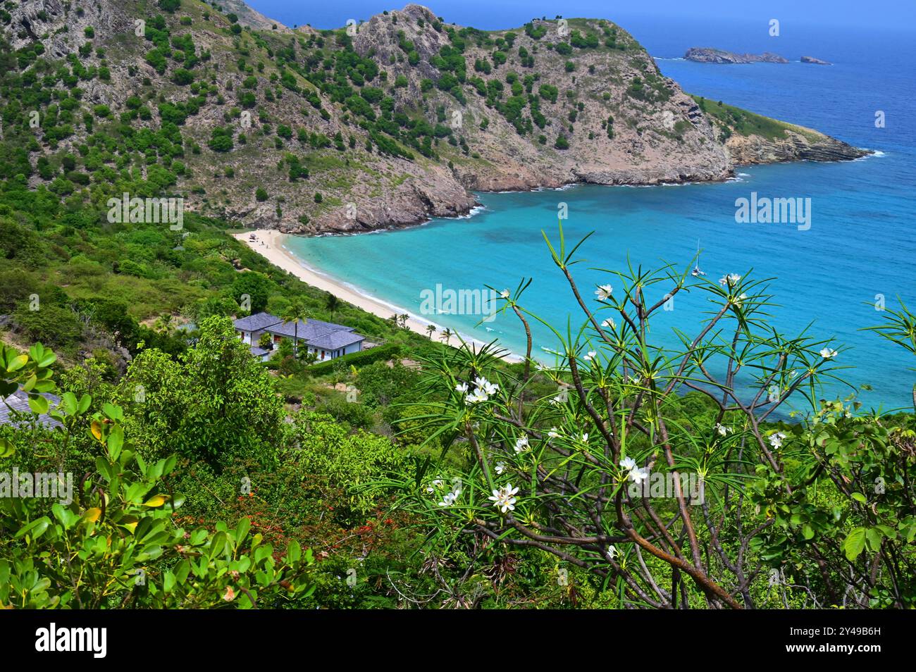FRANKREICH. INSEL SAINT-BARTHELEMY (977). THE GOVERNOR'S BEACH. Stockfoto