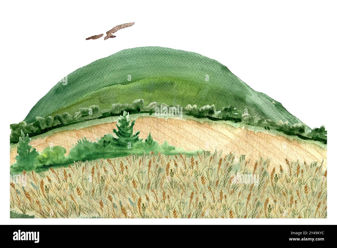 Weizenfelder mit Buschrändern, Drachen, Hügeln, Himmel und Mohnblumen Aquarell isoliert auf weiß. Handgemalte Natur, Landschaftsgestaltungselemente Stockfoto