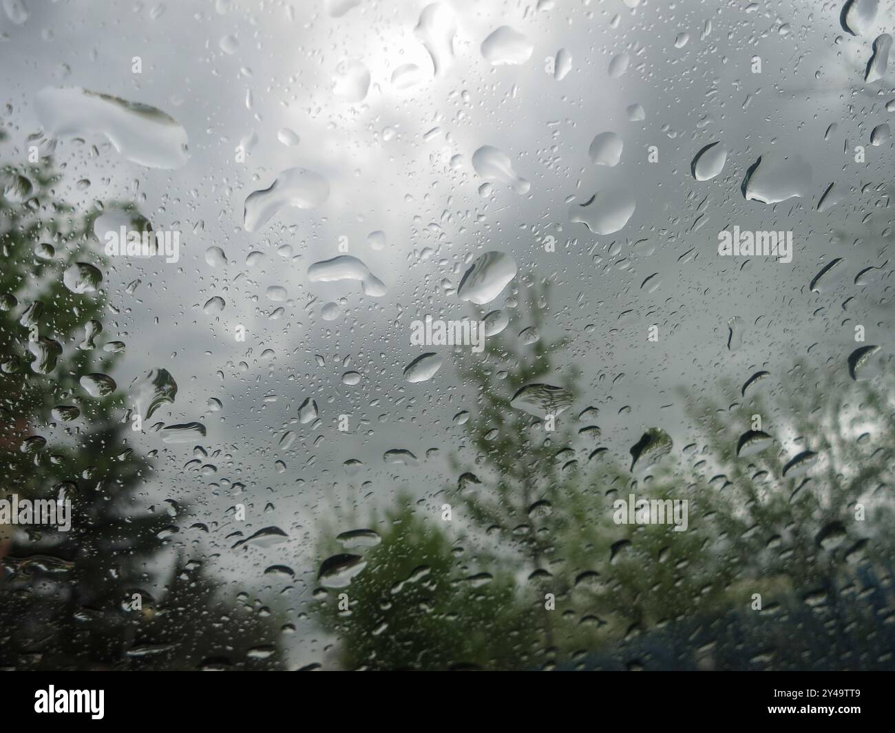 Eine enge Aufnahme eines regendurchfluteten Fensters, der einen wildesten Hintergrund enthüllt. Aus nächster Nähe Regentropfen am Fenster Stockfoto