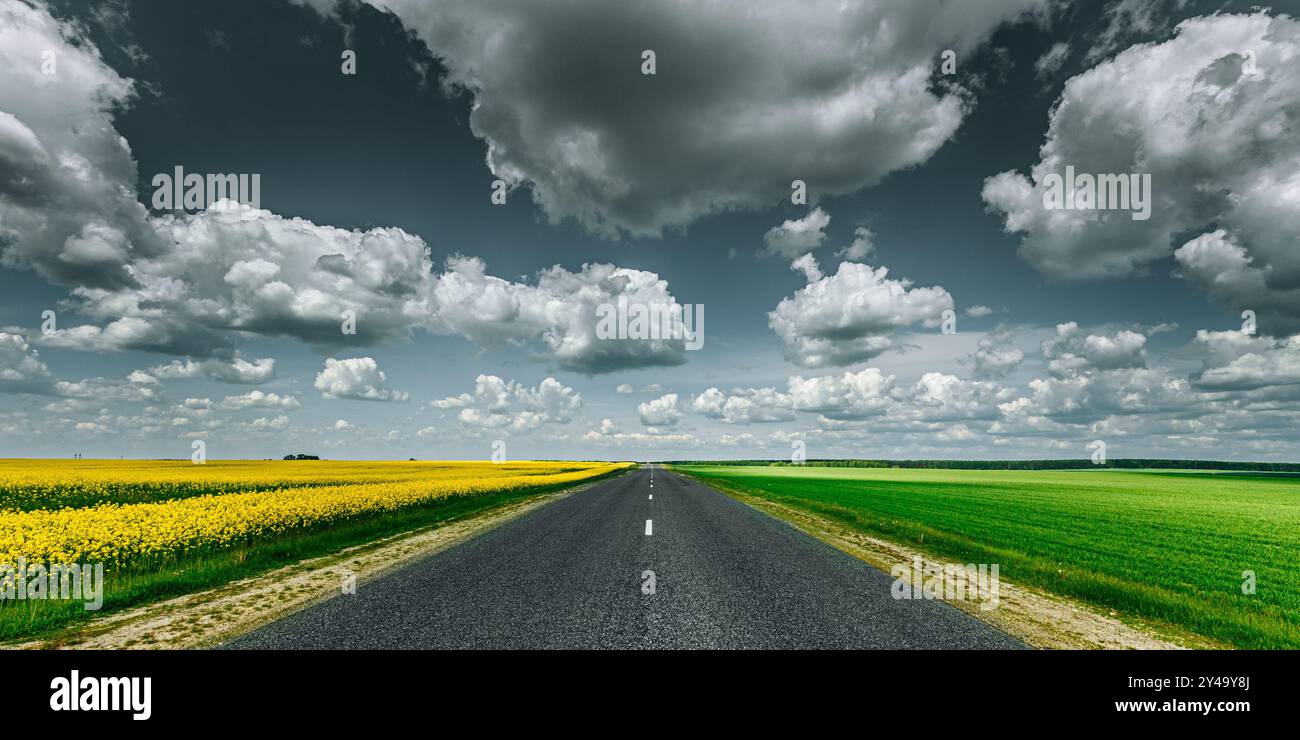 Leere Asphalt-Landschaft Straße Durch Felder Mit Gelb Blühender Canola Rapecolza Canola Und Wachsendem Grünen Weizen Stockfoto