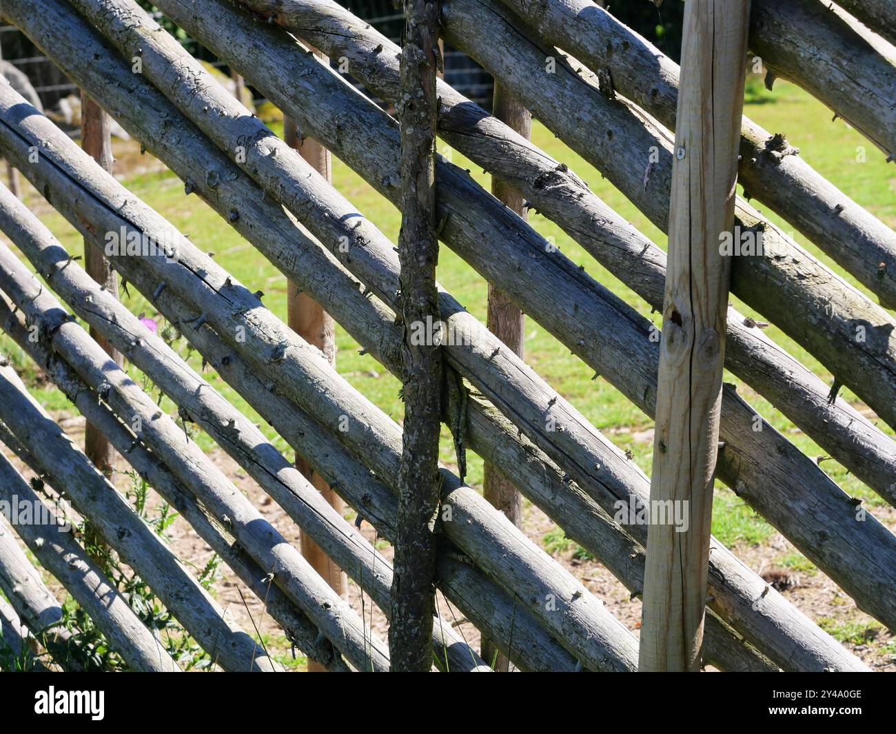 Der traditionelle skandinavische Holzzaun für ein Tiergehege verfügt über schräge Latten und Doppelpfosten aus verschiedenen Holzarten. Stockfoto