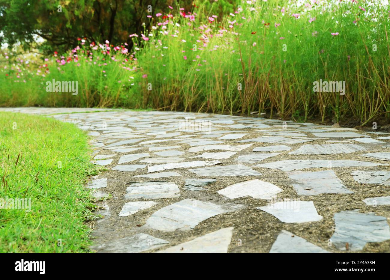 Steinweg im blühenden Garten Stockfoto