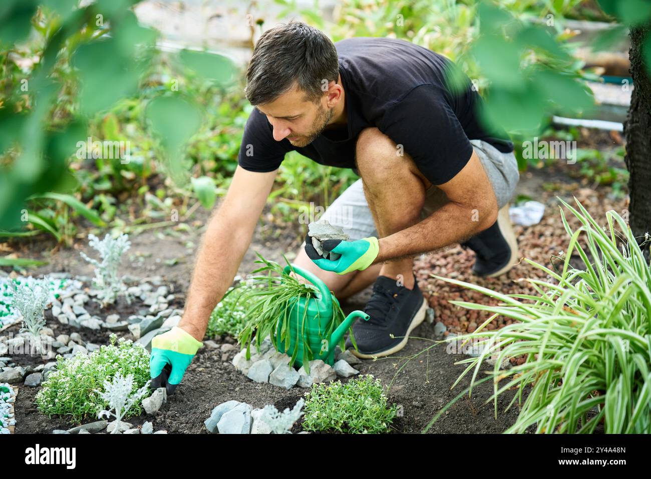 Gärtner Mann putzt Blumenbeet in seinem Garten und dekoriert Garten mit einem Stein. Gartenarbeit, Dekorationsideen Stockfoto