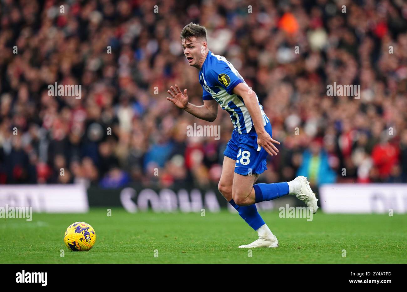 Aktenfoto vom 17.12.2023 von Evan Ferguson. Brighton-Chef Fabian Hurzeler sagt, der Teenager Evan Ferguson habe nichts zu beweisen im Carabao Cup gegen die Wölfe am Mittwoch Abend. Ausgabedatum: Dienstag, 17. September 2024. Stockfoto