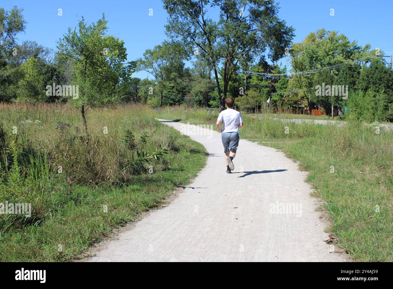 Junger Mann, der auf dem des Plaines River Trail auf einer Wiese im Iroquois Woods in Park Ridge, Illinois, läuft Stockfoto