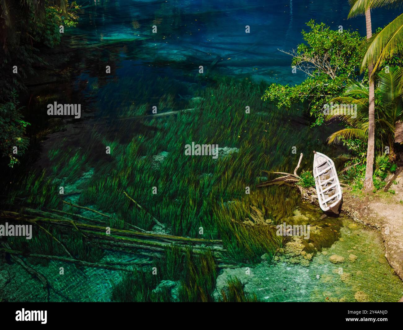 Der malerischste tropische See mit transparentem blauem Süßwasser in Indonesien. Drohnenansicht Stockfoto
