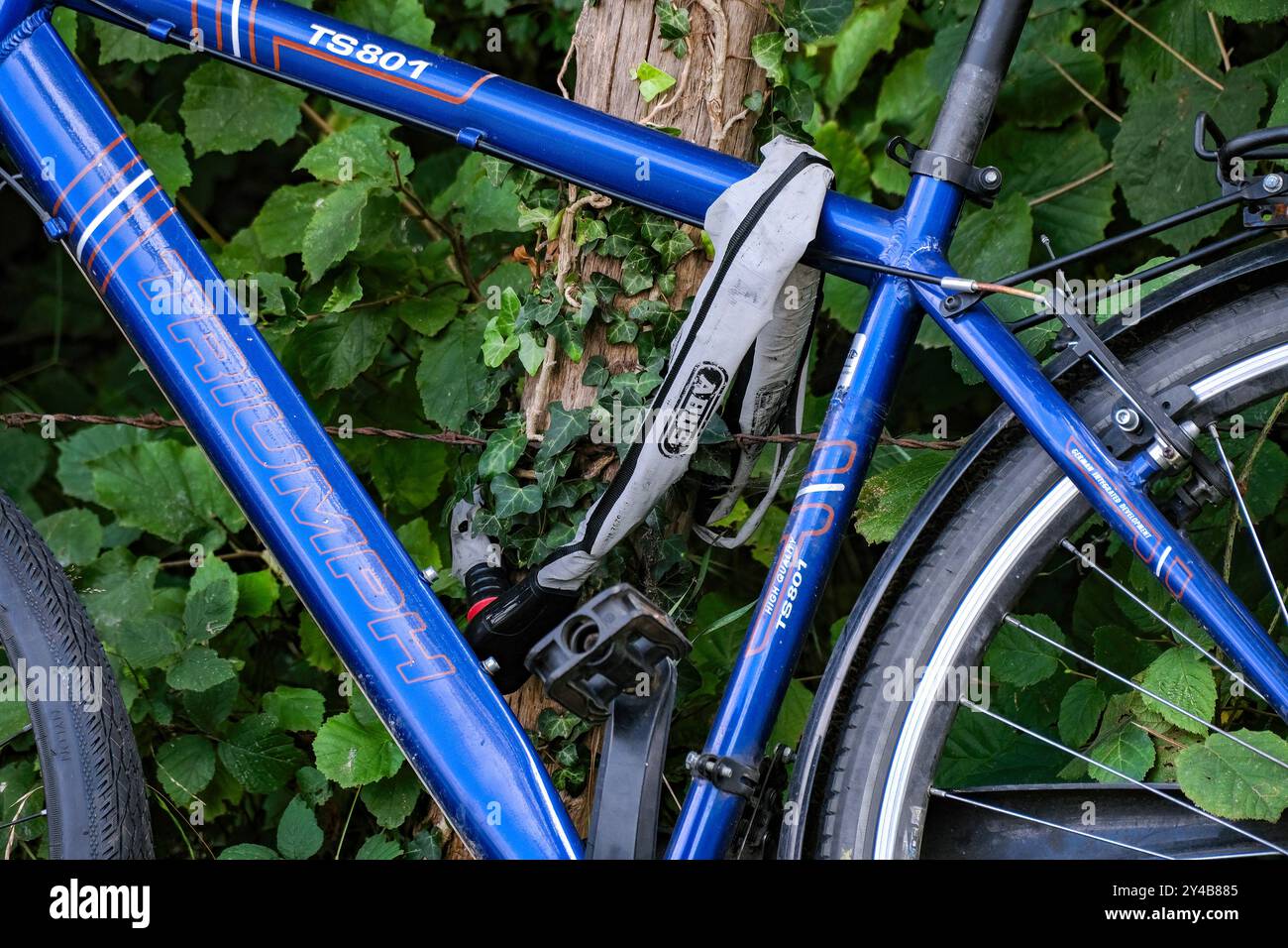 kinderfahrrad 20 zoll s'cool 20 Zoll Kinderfahrrad S'COOL XXlite SL 3-Gang