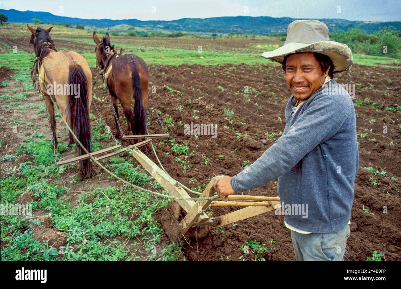 Mexiko: In Oaxaca pflügt ein Bauer das Land mit zwei Pferden und seinem Holzpflug. Stockfoto
