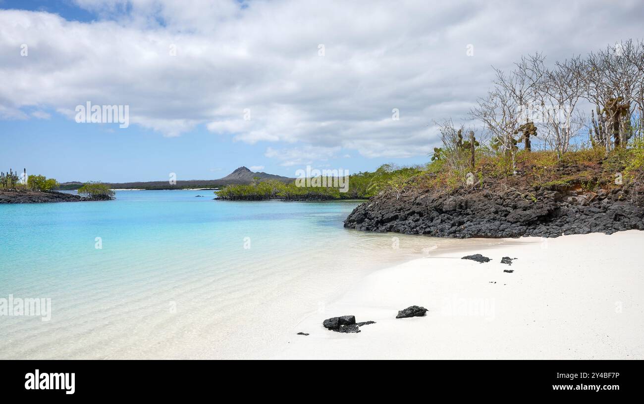 Unberührter Strand auf einer unbewohnten Insel, den Galapagos-Inseln, Ecuador. Stockfoto