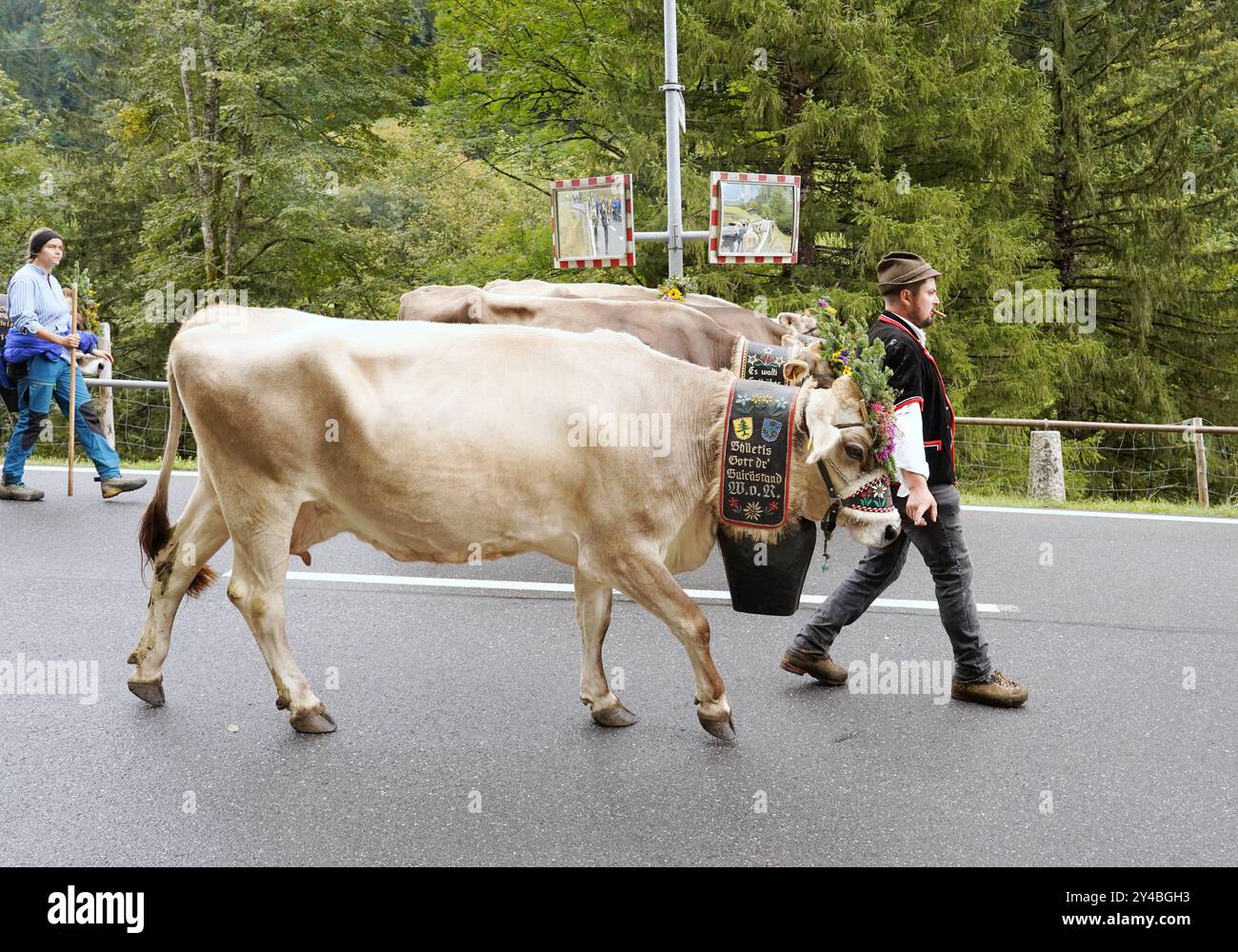 Anton Geisser 14.09.2024 Kanton Bern, Schweiz. Rueckkehr der Kuehe ins Tal. Alpabfahrt Engstlenalp - Innertkirchen. Berner Oberland Bild : Kuh mit Kuhglocke und Blumenschmuck auf dem Kopf . *** Anton Geisser 14 09 2024 Kanton Bern,Schweiz Rückkehr der Kühe ins Tal Alpabfahrt Engstlenalp Innertkirchen Bernese Oberland Bild Kuh mit Kuhglocke und Blumenschmuck auf dem Kopf Stockfoto