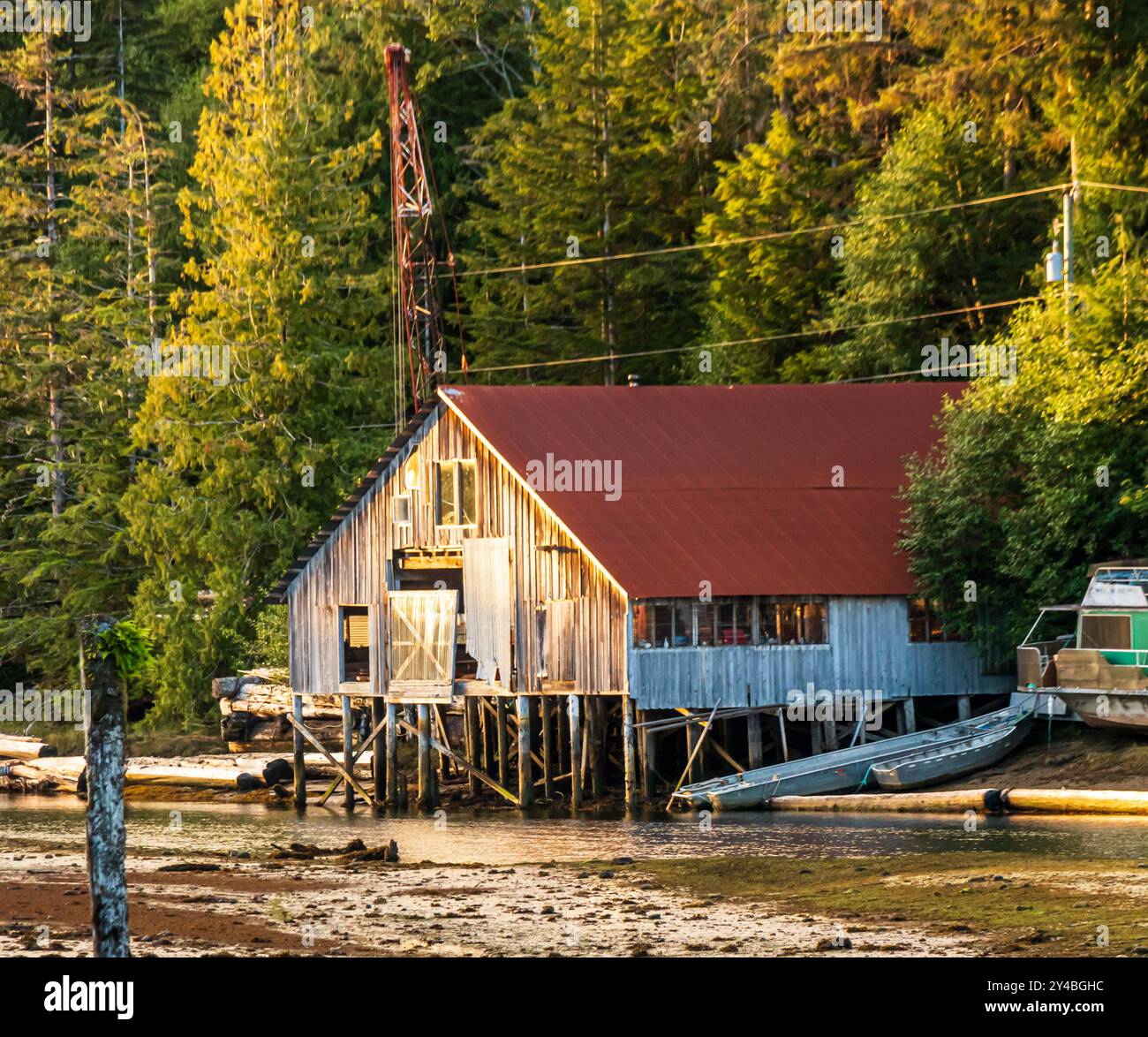 Verlassenes altes Gebäude im Abendlicht, an der Uferpromenade bei Ebbe. Der Bootsschuppen und der Dachboden verschlechtern sich, alte Pfähle und ein rotes Dach. Stockfoto