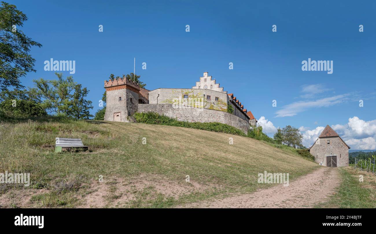 Historisches Schloss Staufenberg von unten, aufgenommen in hellem Sommerlicht bei Durbach, Schwarzwald, Baden Wuttenberg, Deutschland Stockfoto