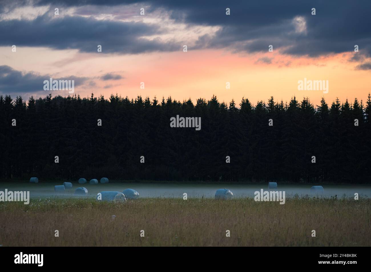 Heuballen auf einem ruhigen Feld in der Nähe eines Waldes bei Sonnenuntergang Stockfoto