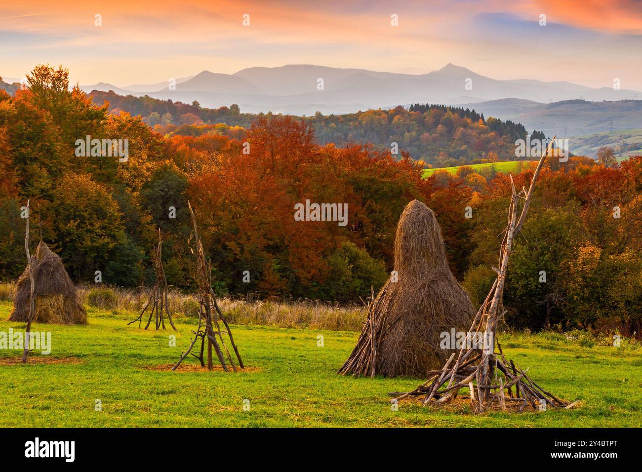 Heuhaufen auf dem Grasfeld im Herbst. Ländliche Landschaft in karpaten. Warmes, sonniges Wetter bei Sonnenuntergang Stockfoto