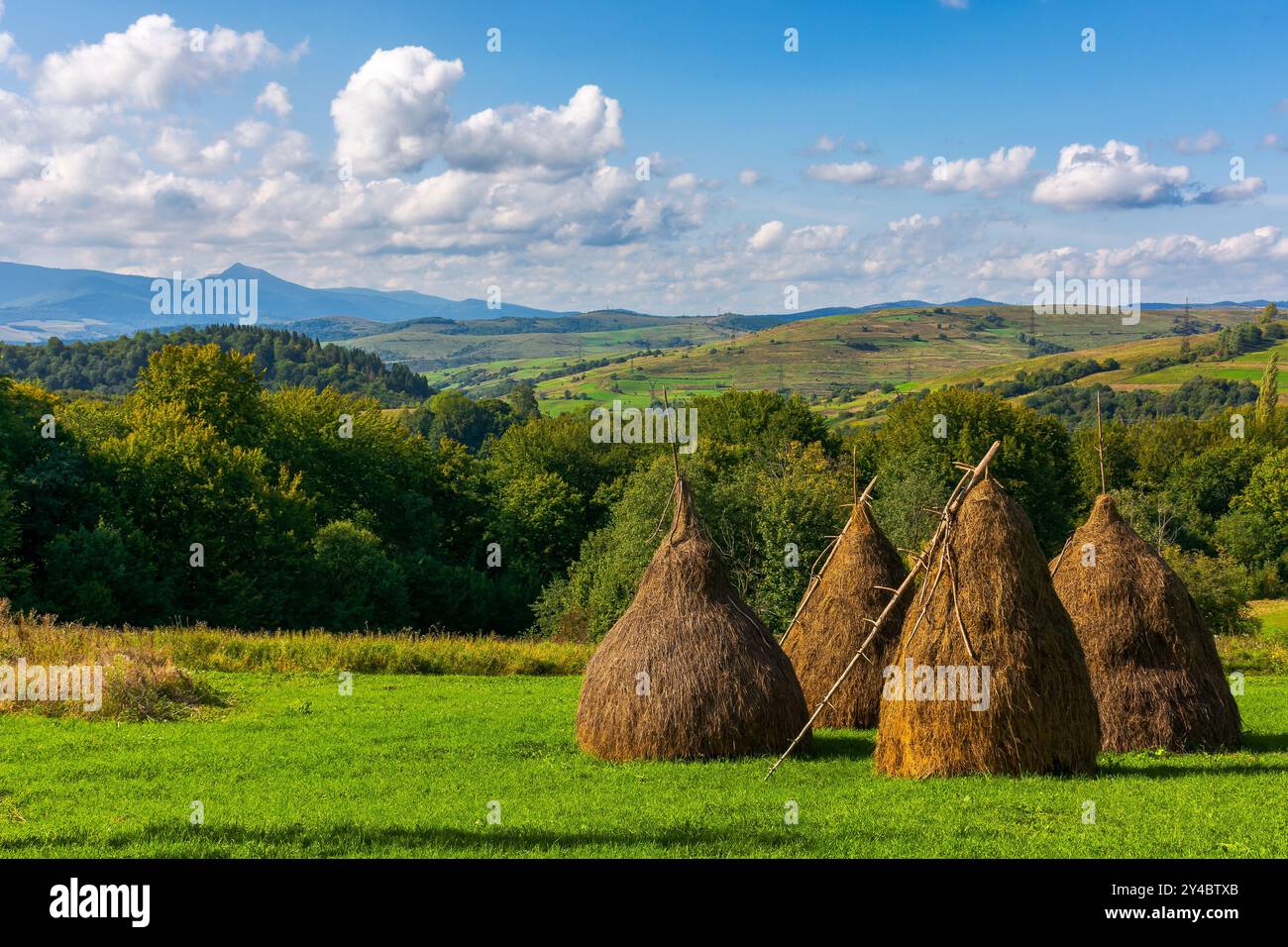 Heuhaufen auf dem Grasfeld im Herbst. Ländliche Landschaft in karpaten Stockfoto
