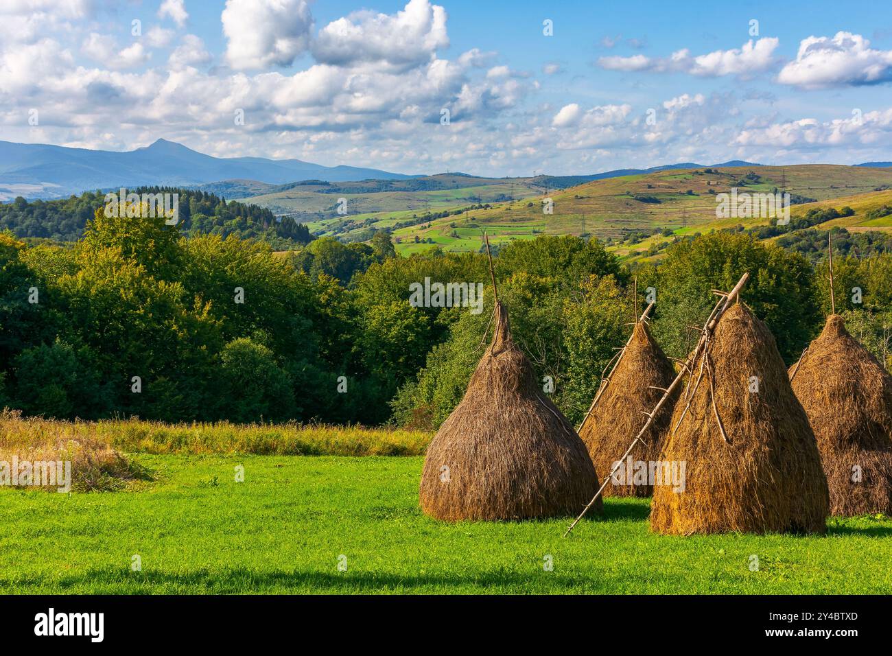 Heuhaufen auf dem Grasfeld im Herbst. Ländliche Landschaft in karpaten. Warmes, sonniges Wetter am Nachmittag Stockfoto