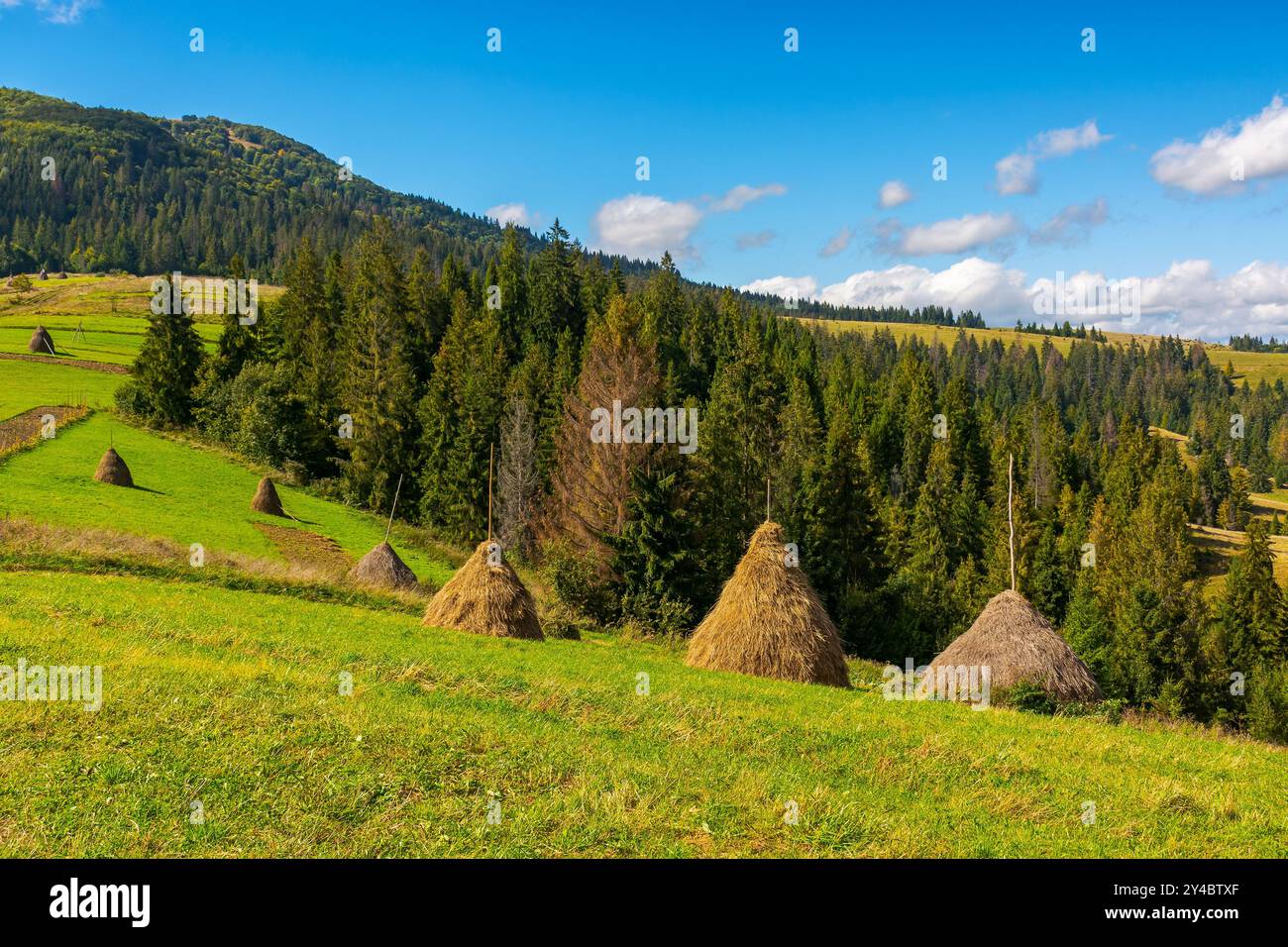Heuhaufen auf dem Grasfeld im Herbst. Ländliche Landschaft in karpaten. Warmes, sonniges Wetter am Nachmittag. Weide auf dem Hügel Stockfoto