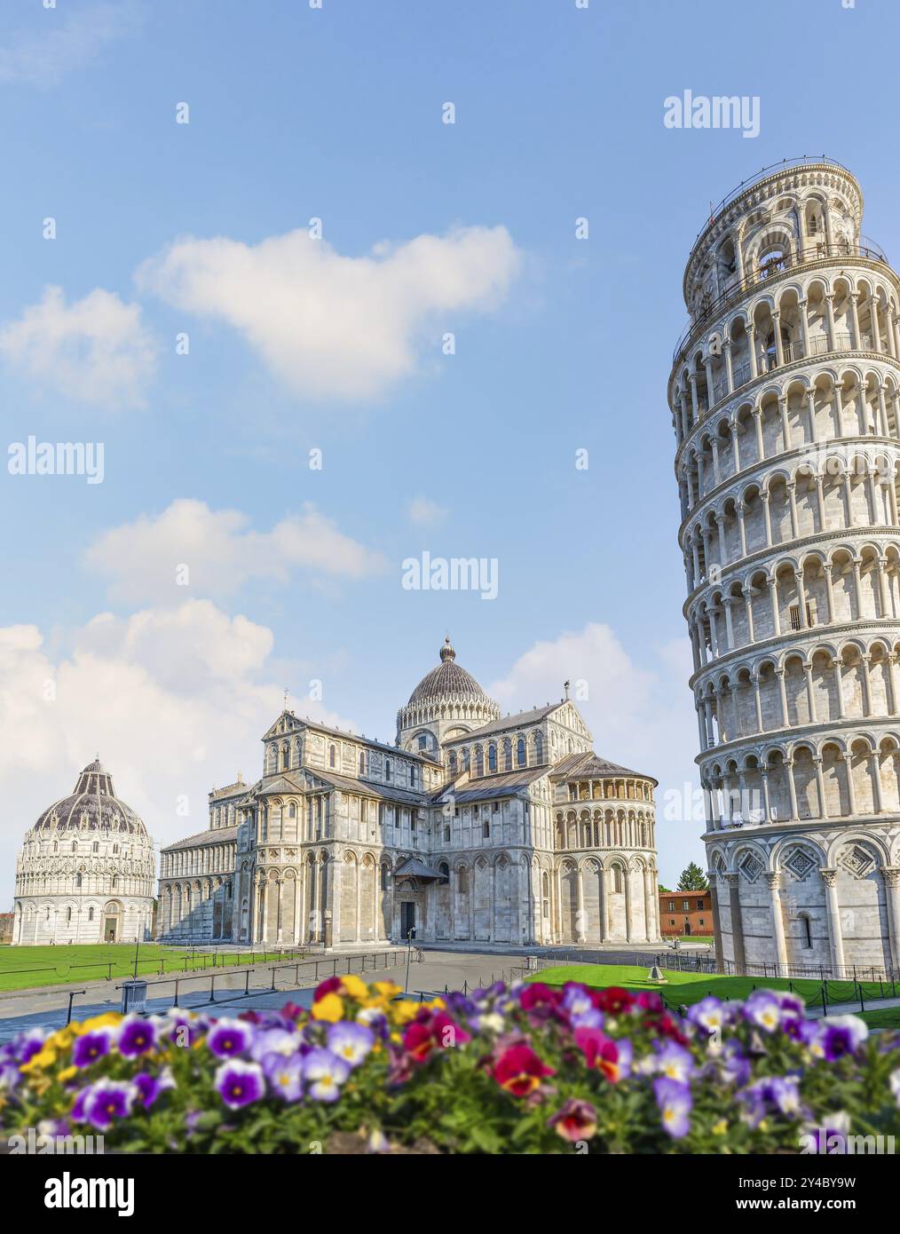 Blumen und Schiefer Turm auf dem Domplatz in Pisa, Italien, Europa Stockfoto